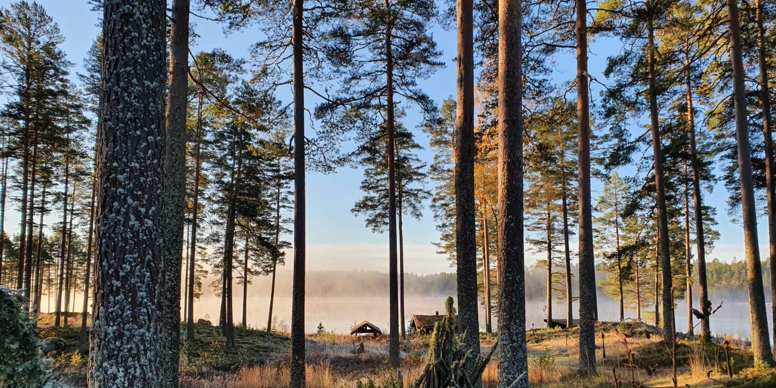 Morgenstemning på Maarud i Kongsvingerregionen