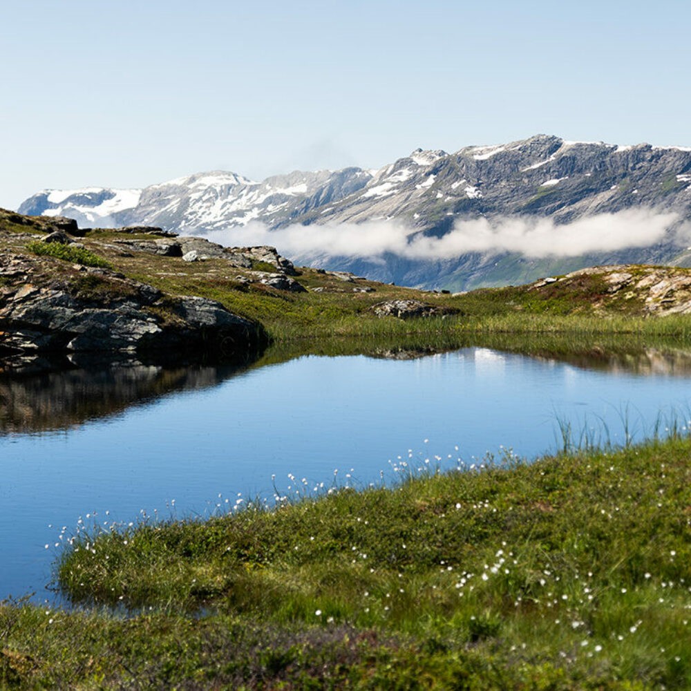 Guidet tur gjennom Dronningstien i Hardanger med Trolltunga Active