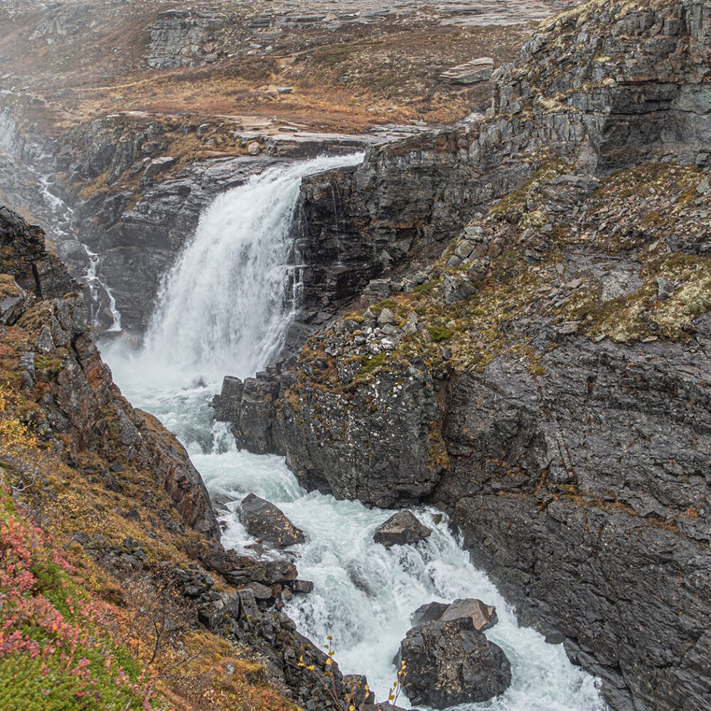 Guidet tur gjennom Dronningstien i Hardanger med Trolltunga Active