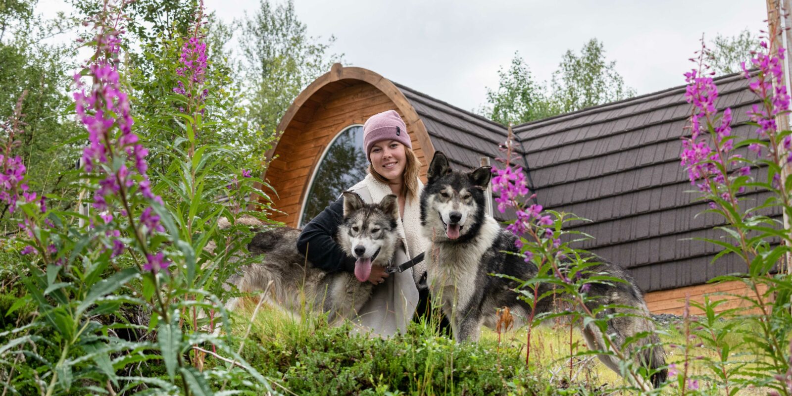 2 huskier og et menneske ved Snowhotel Kirkenes