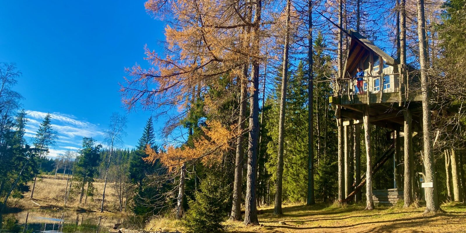 Lerkhytta i Brummundal til tretopphytter.no