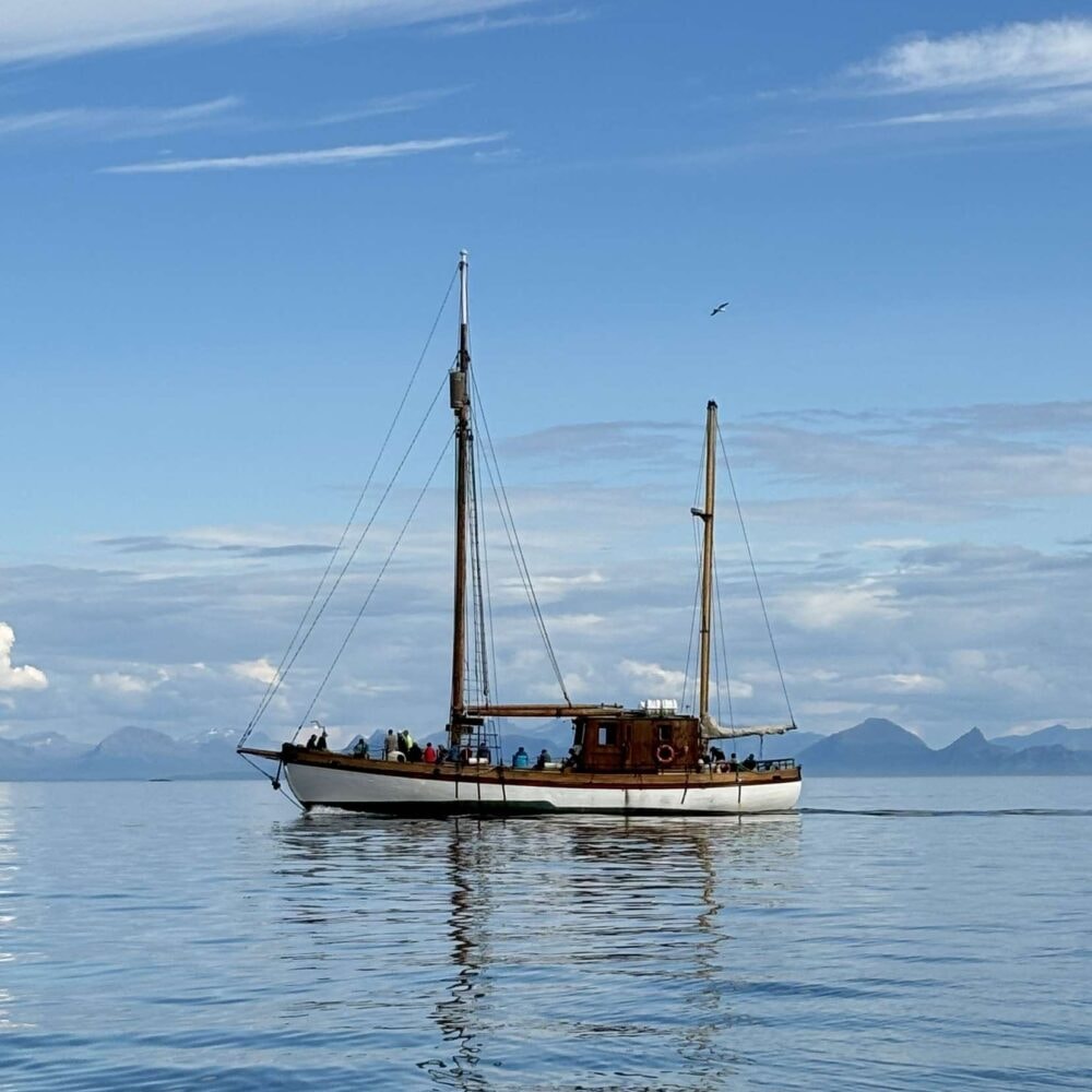 Go2Lofoten - Fisketur