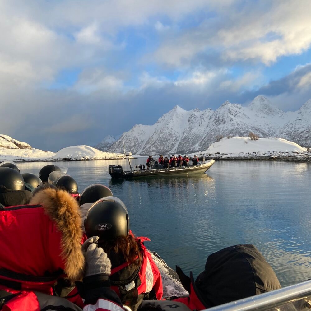 Go2Lofoten - Havørn safari