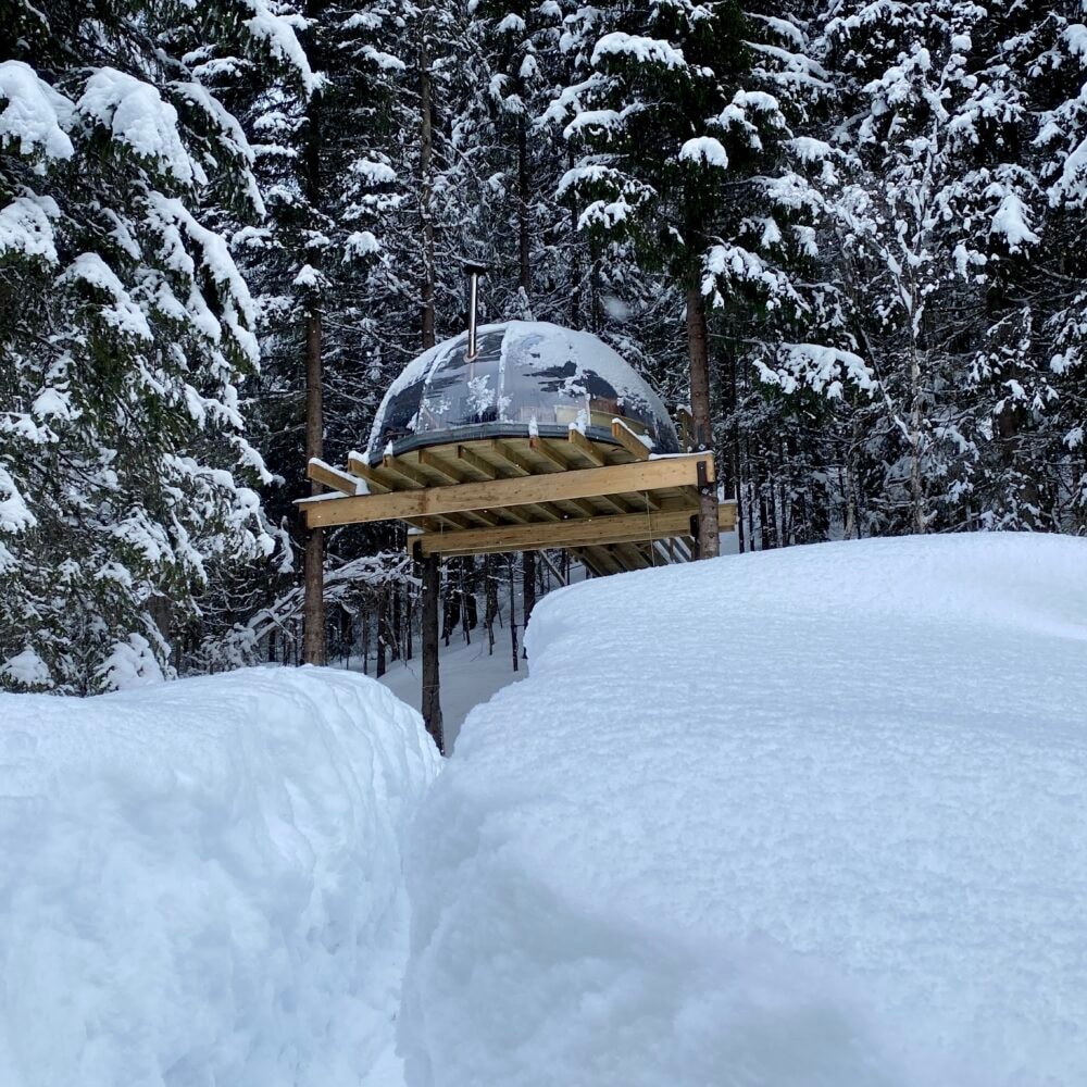 Tretoppigloen ved Lårdalselva - Hvilepust