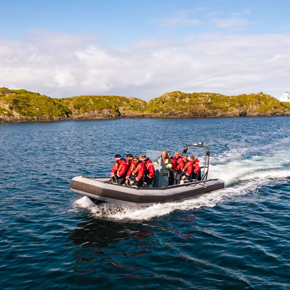 Viking Adventure - RIB safari