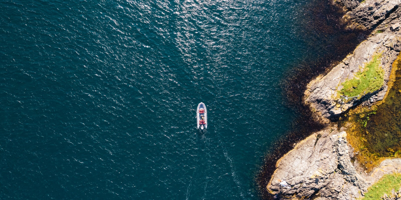 Viking Adventure - RIB safari
