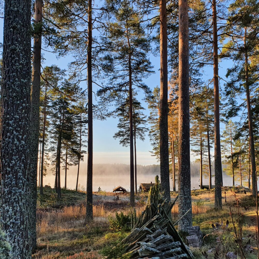 Morgenstemning på Maarud i Kongsvingerregionen