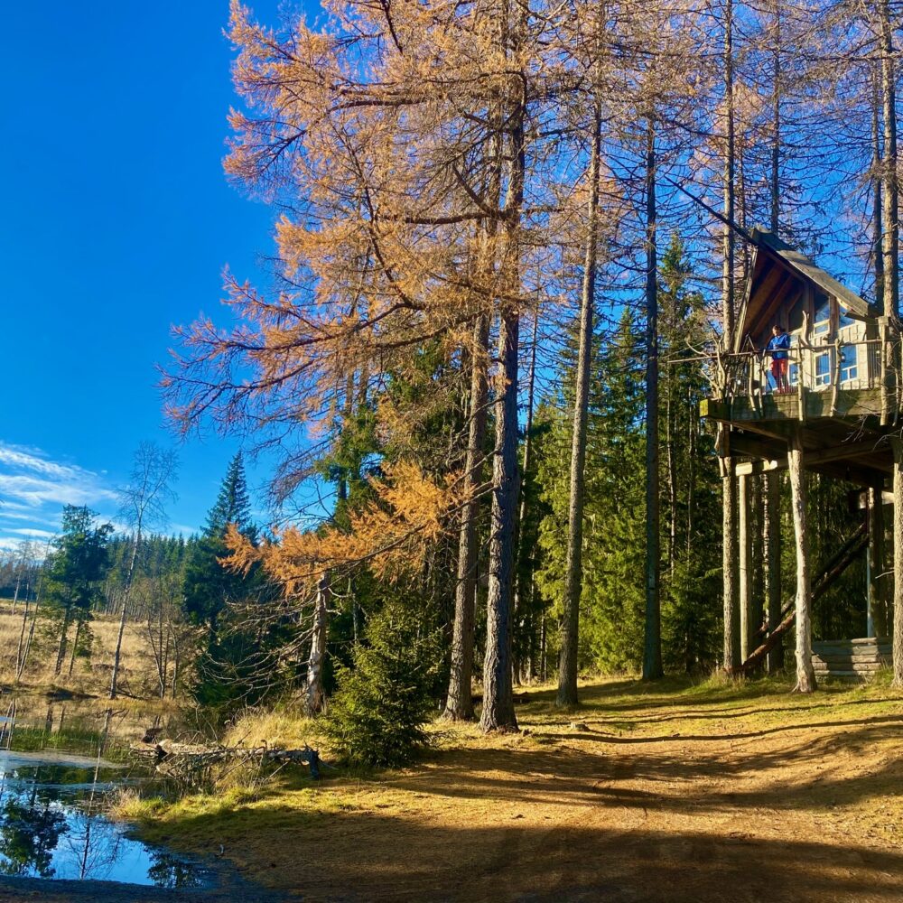 Lerkhytta i Brummundal til tretopphytter.no