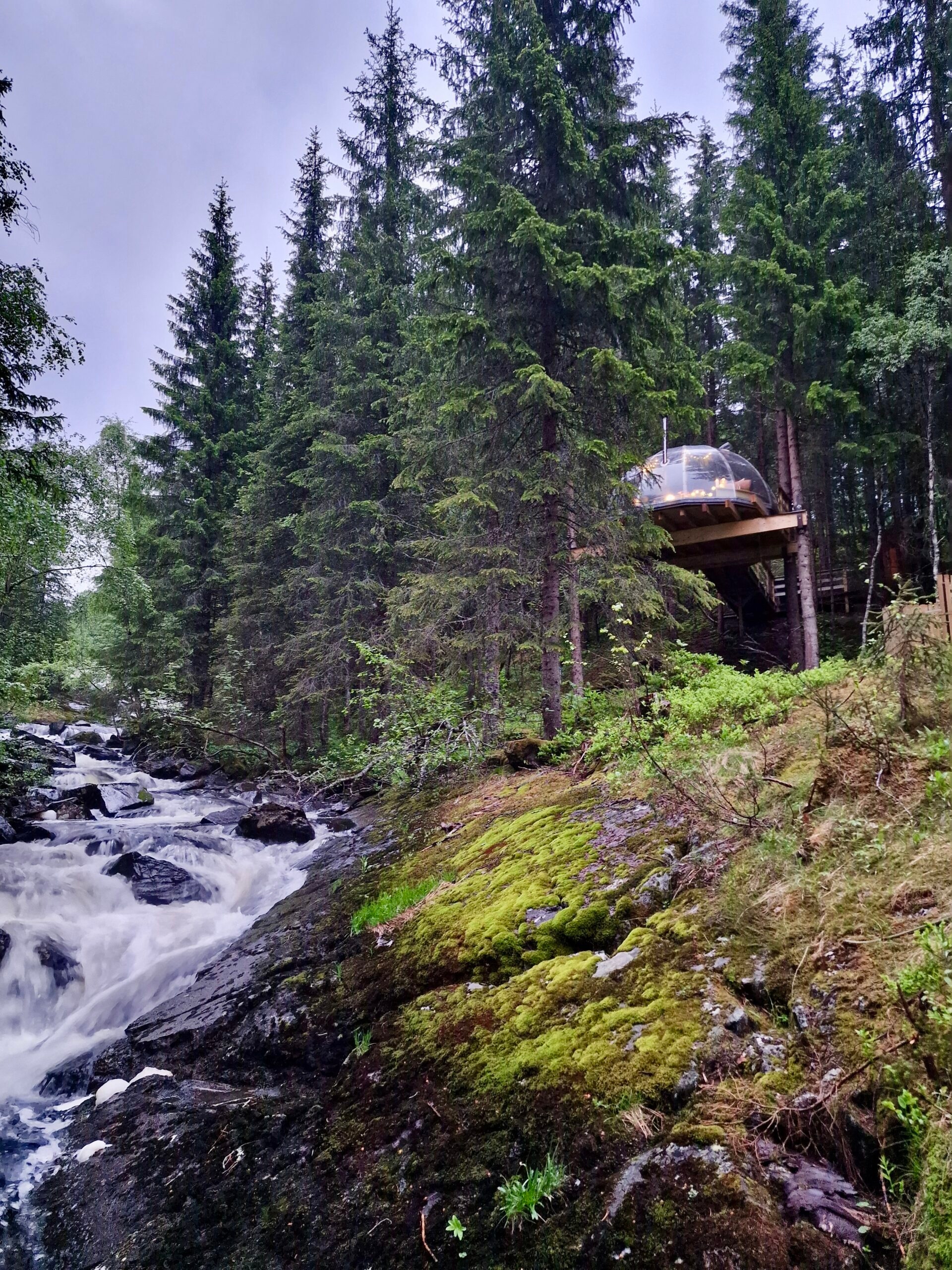 Tretoppigloen ved Lårdalselva - Hvilepust