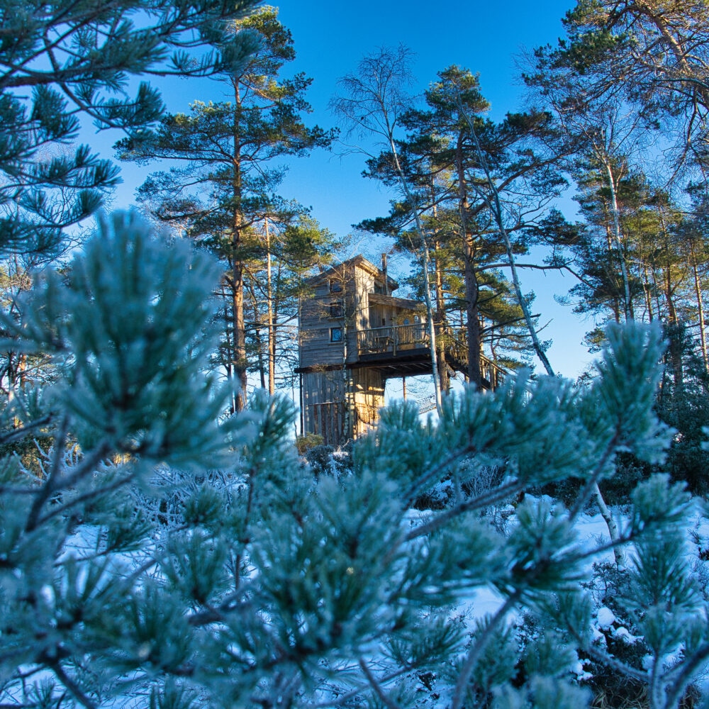 TreeTop Fiddan - Villmarks Tårnet