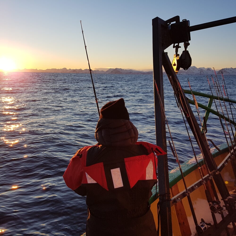 Fisketur i Lofoten med Go2Lofoten