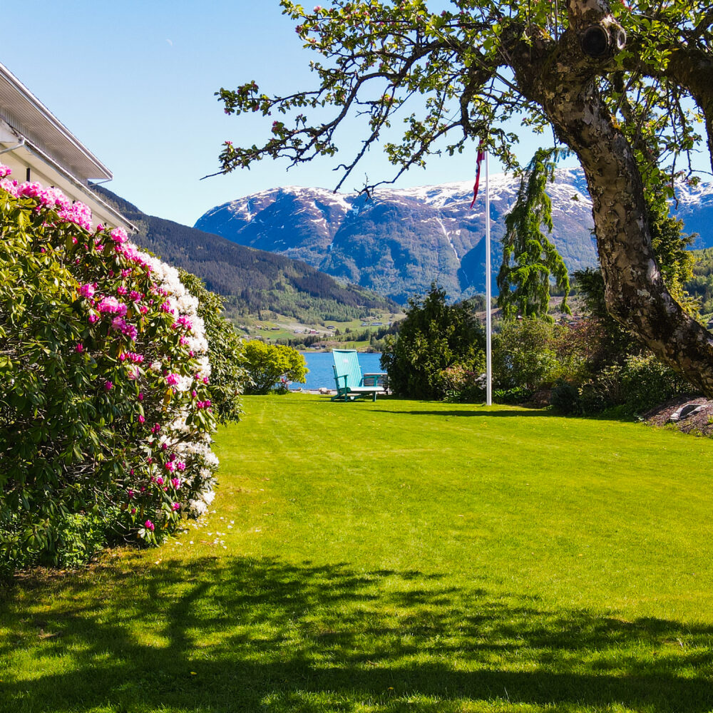 Brakanes Hage blomstring hardanger