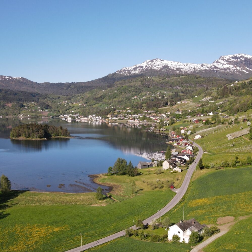 Blomstring i Hardanger Ulvik