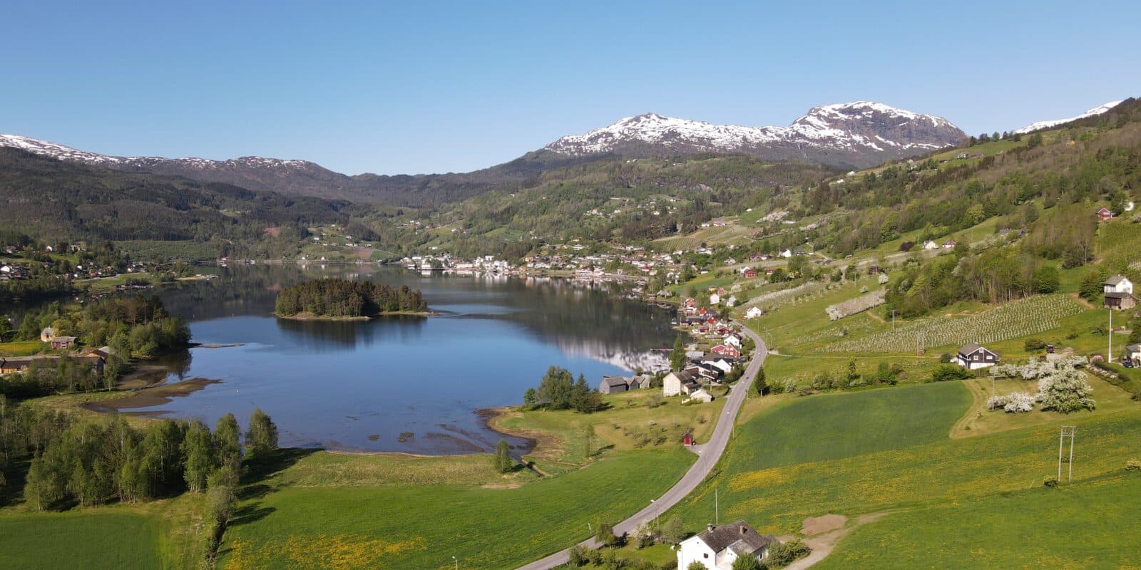 Blomstring i Hardanger Ulvik