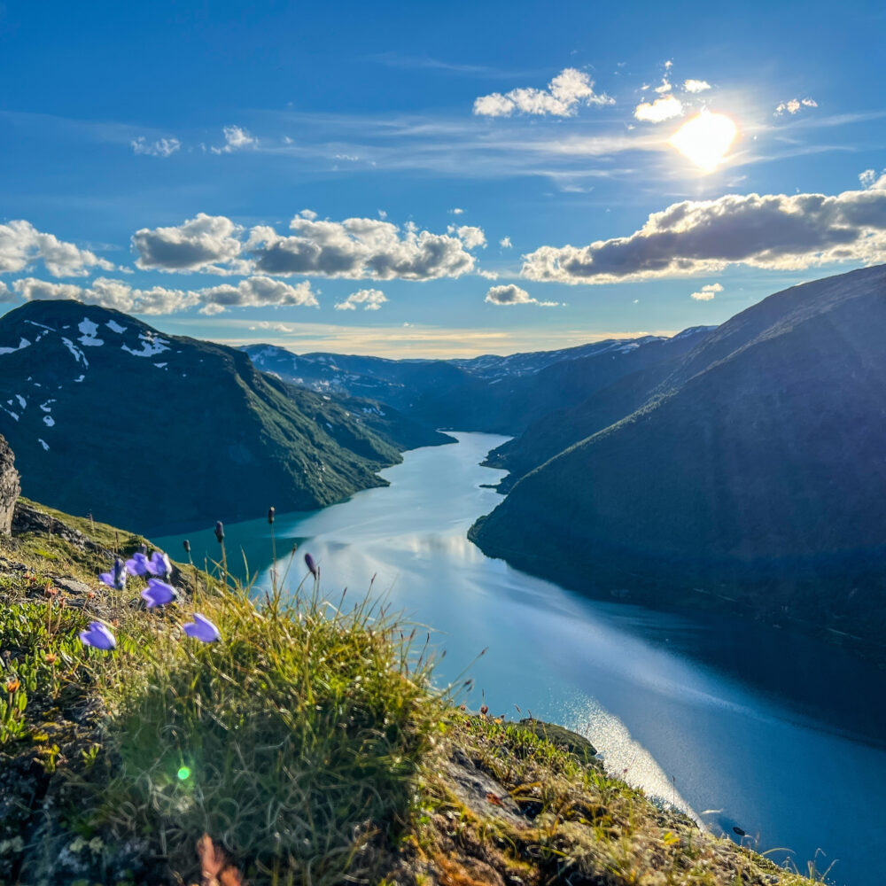Høyrokampen i Jotunheiem