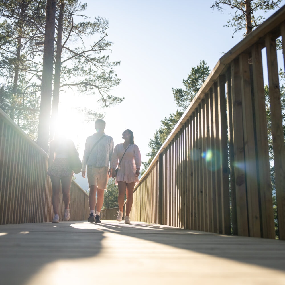 Tretoppvegen i Fyresdal