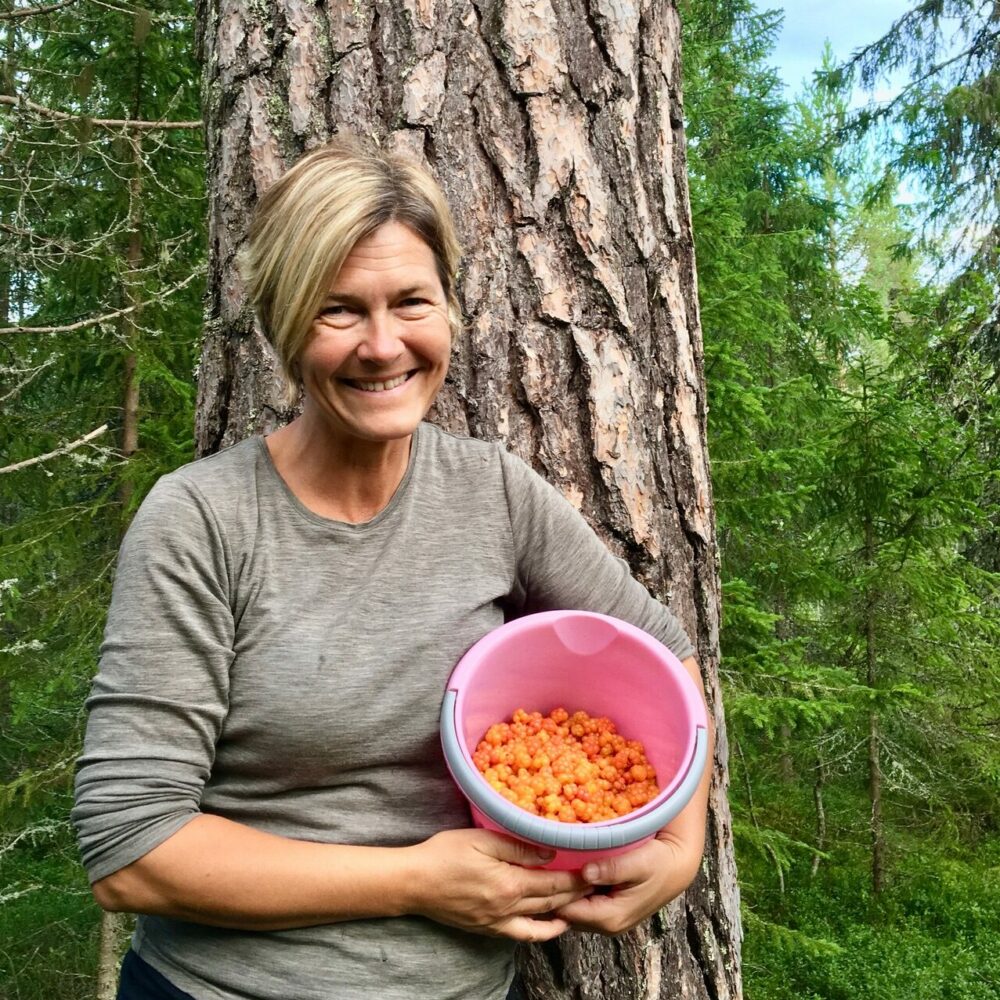 Bærplukking hos tretopphytter.no