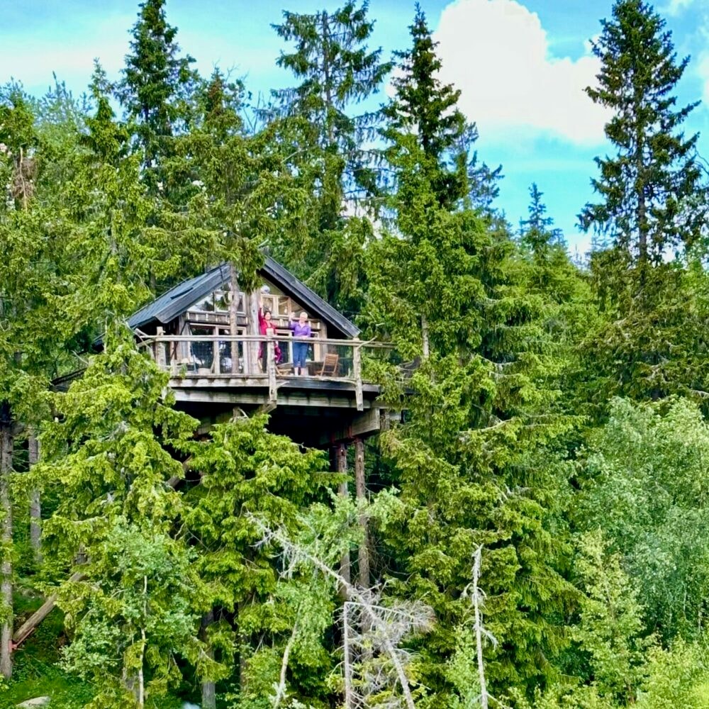 Bjørkhytta til tretopphytter.no