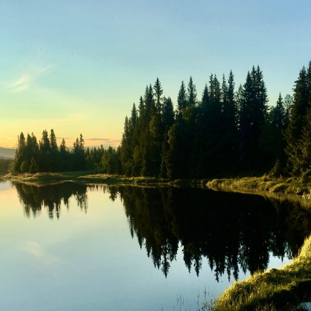 Utsikt ved vann hos Furuhytta