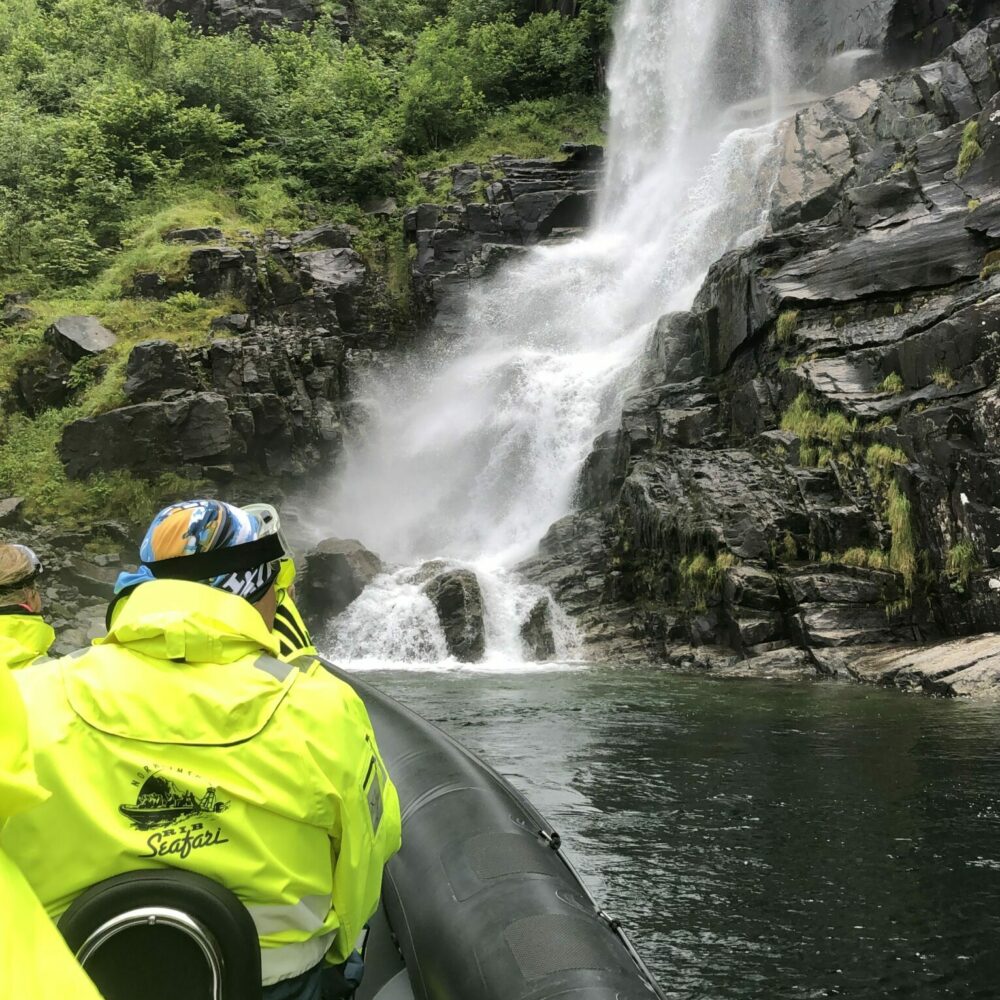 Foss besøk med Norheimsund RIB Seafari