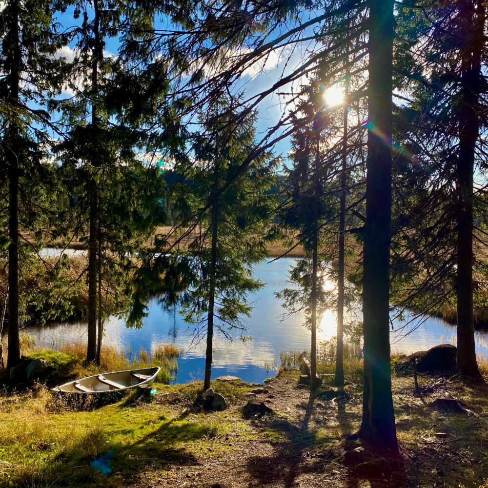 Vann ved Bjørkhytta til tretopphytter.no