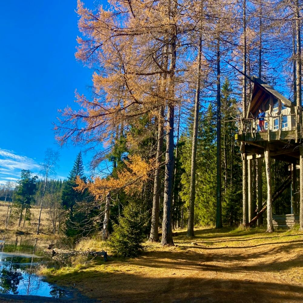 Lerkhytta i Brummundal til tretopphytter.no