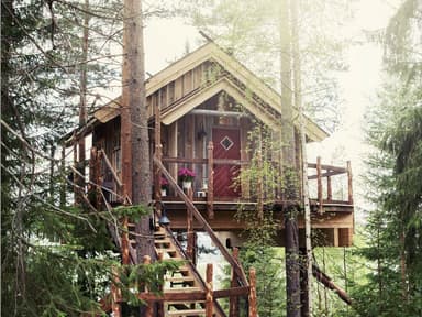 Glamping og tretopphytter