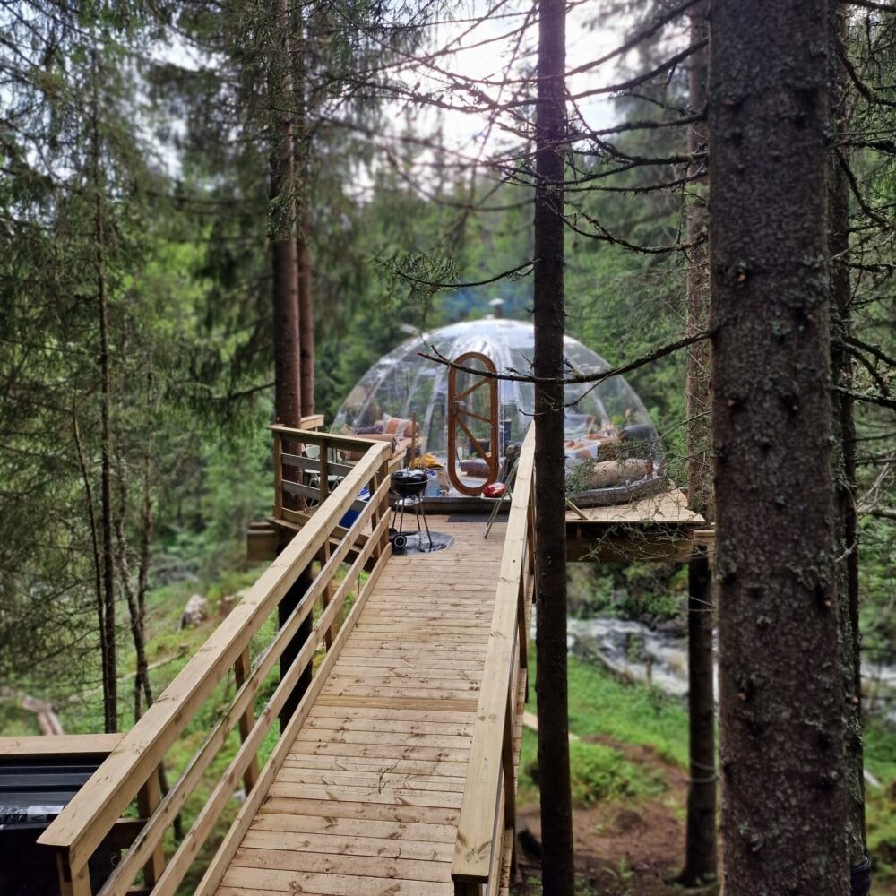 Tretoppigloen ved Lårdalselva - Hvilepust