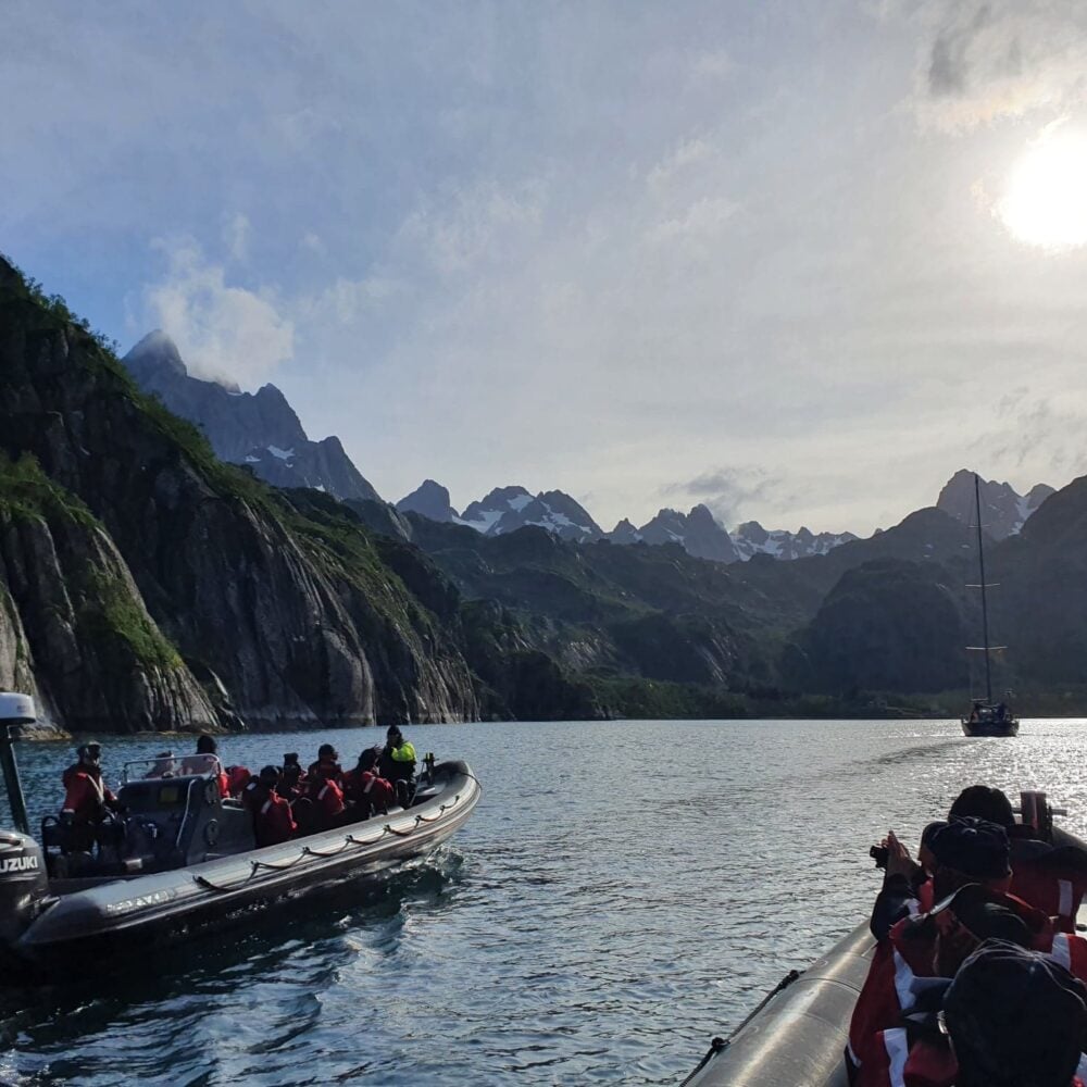 Go2Lofoten - Havørn safari