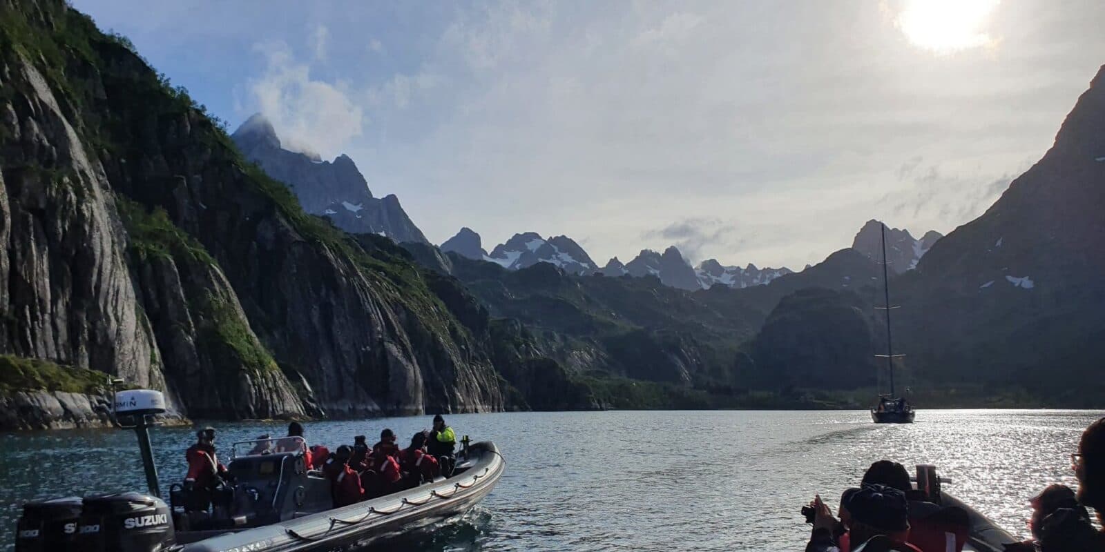 Go2Lofoten - Havørn safari