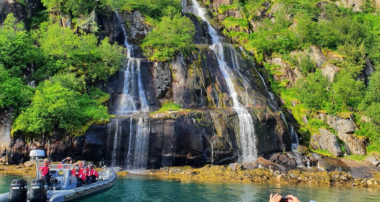 Go2Lofoten - Havørn safari