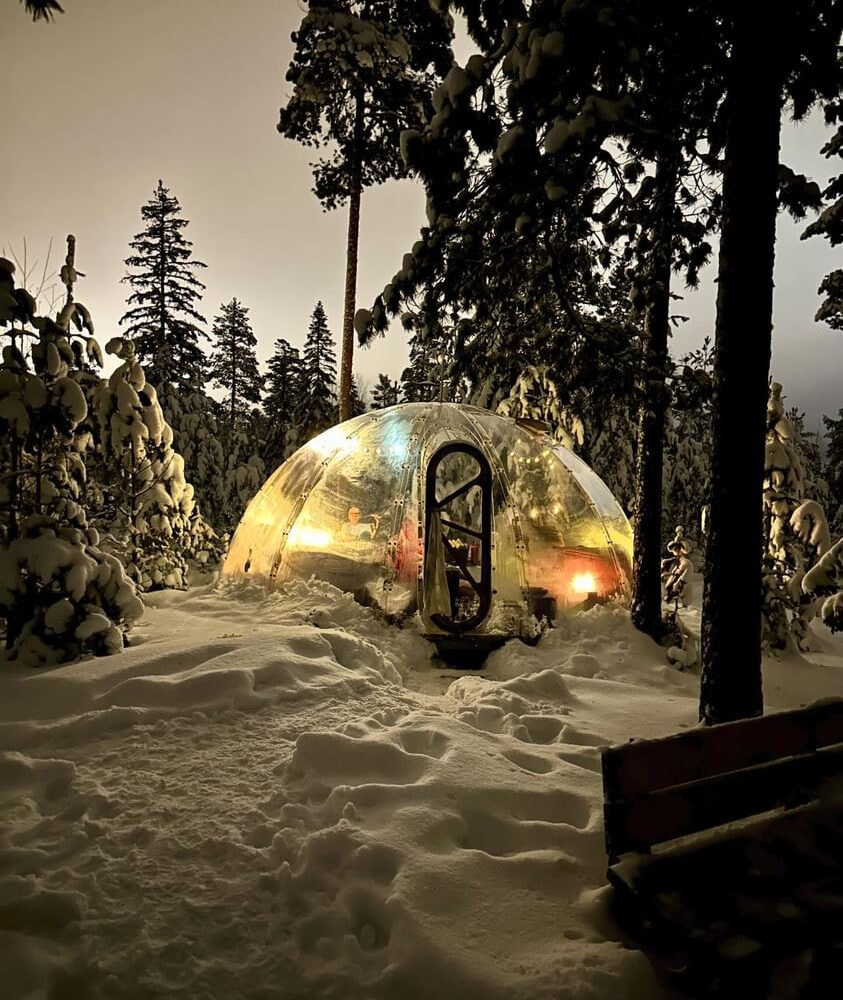 Elgtråkket i Aurskog - Hvilepust