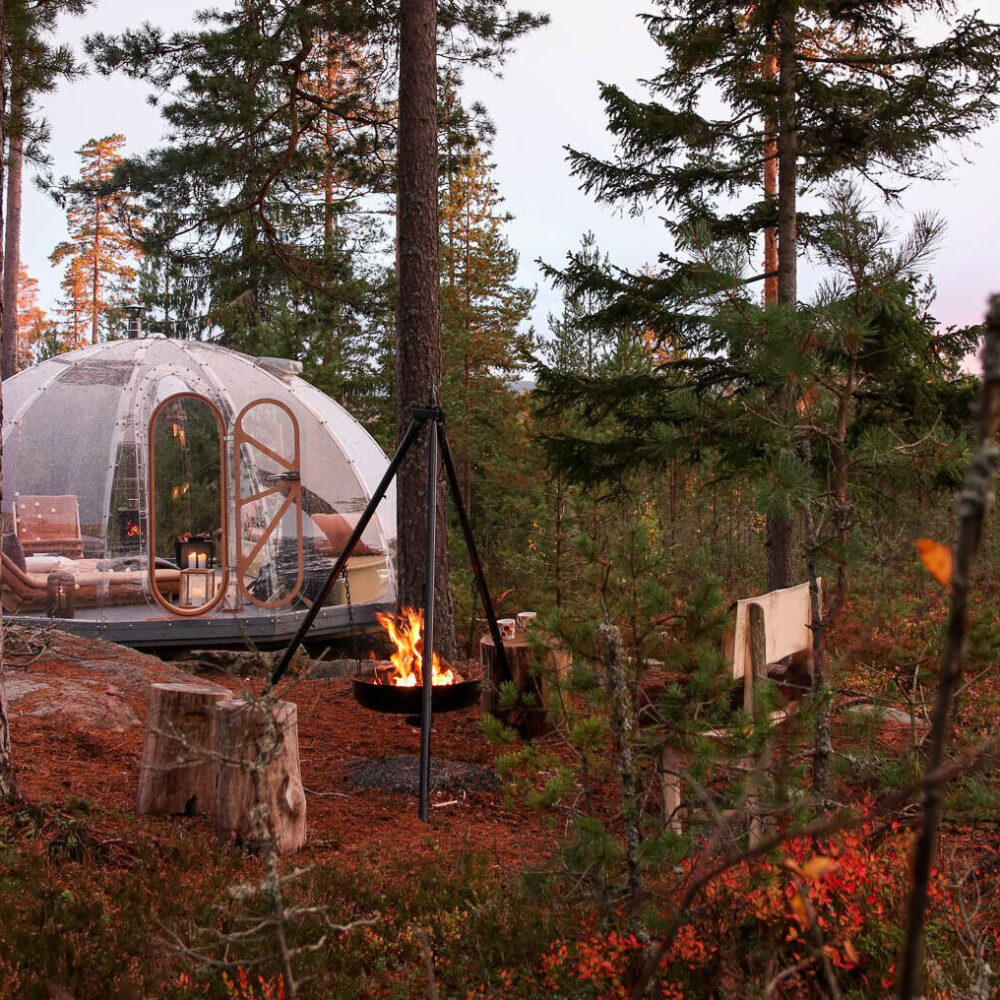 Elgtråkket i Aurskog - Hvilepust