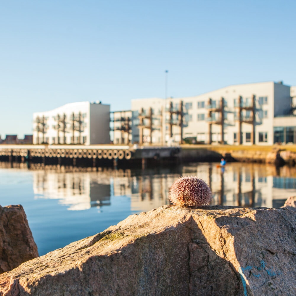 Lindesnes Havhotell