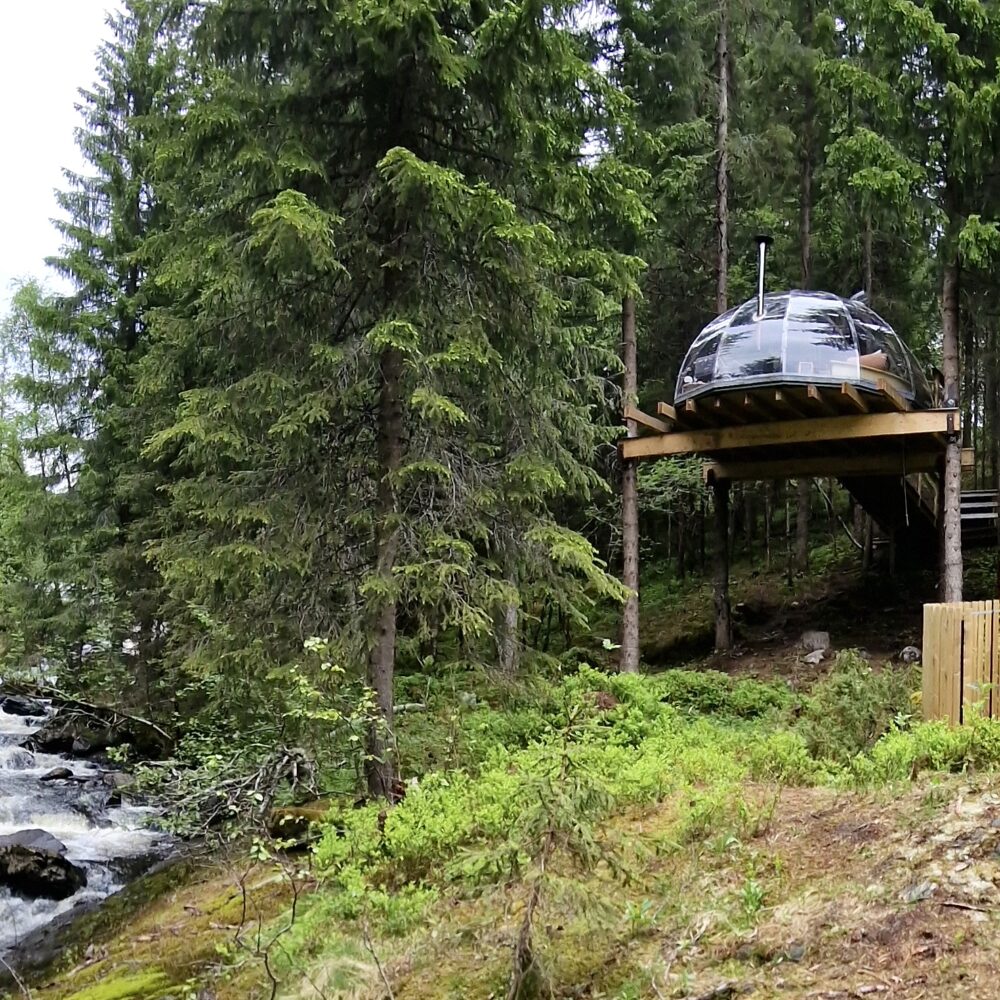 Tretoppigloen ved Lårdalselva - Hvilepust