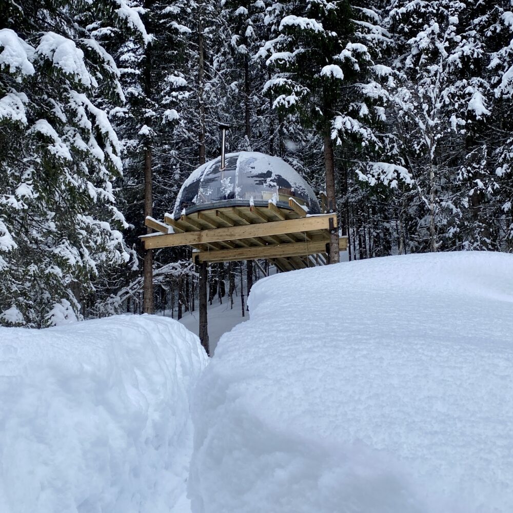 Tretoppigloen ved Lårdalselva - Hvilepust