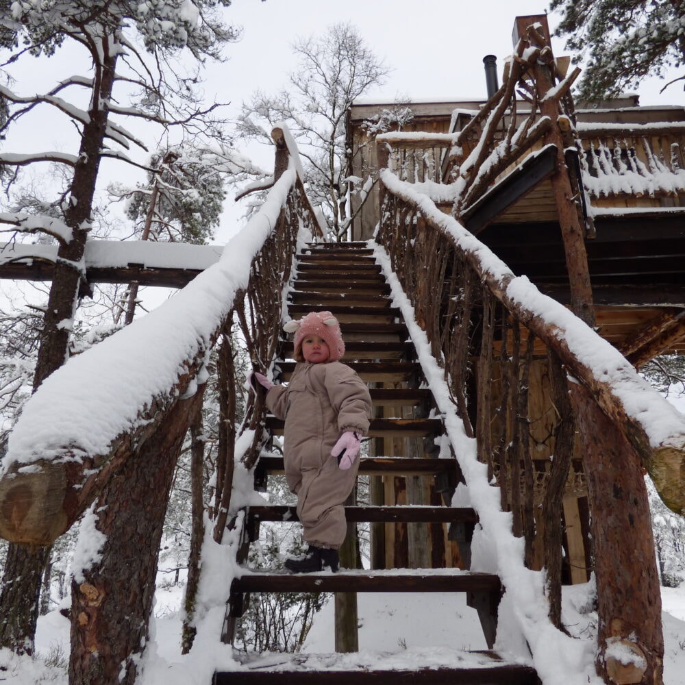 TreeTop Fiddan - Villmarks Tårnet