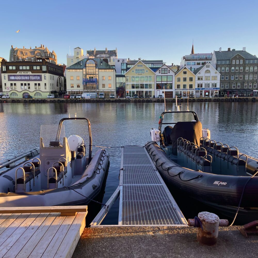 Viking Adventure - RIB safari