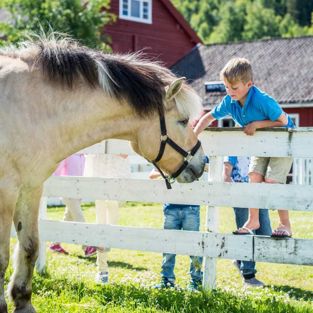 Hadeland Glassverk i Jevnaker. Populær familieattraksjon