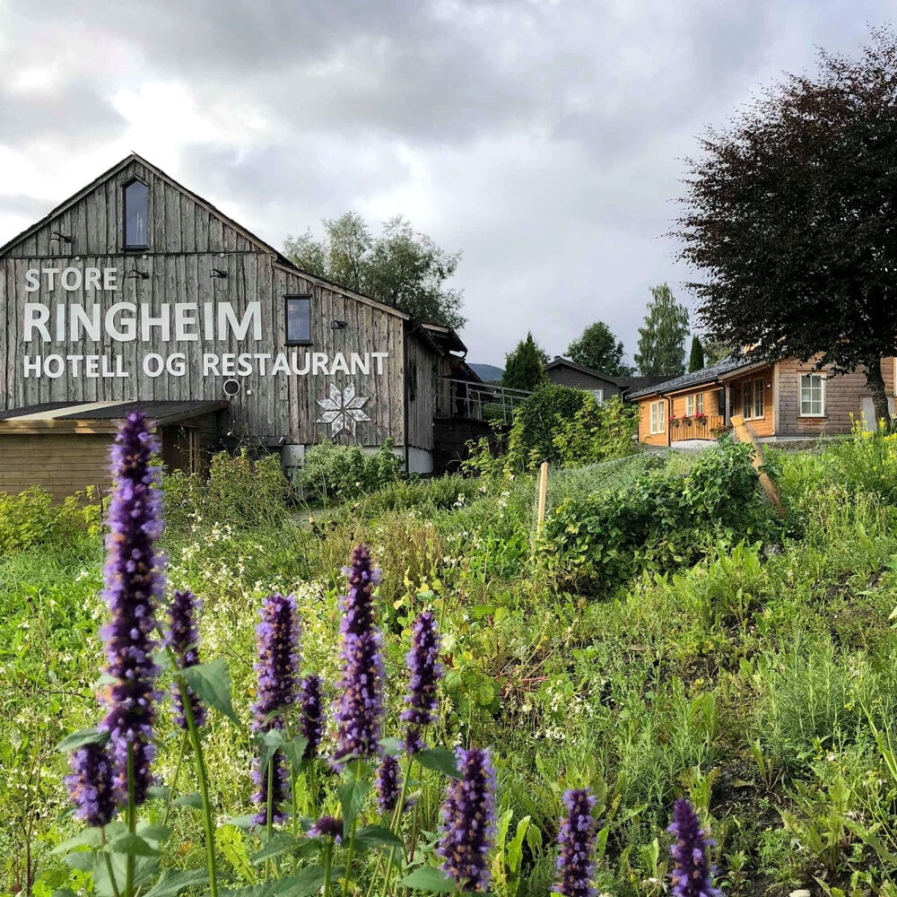 Store Ringheim