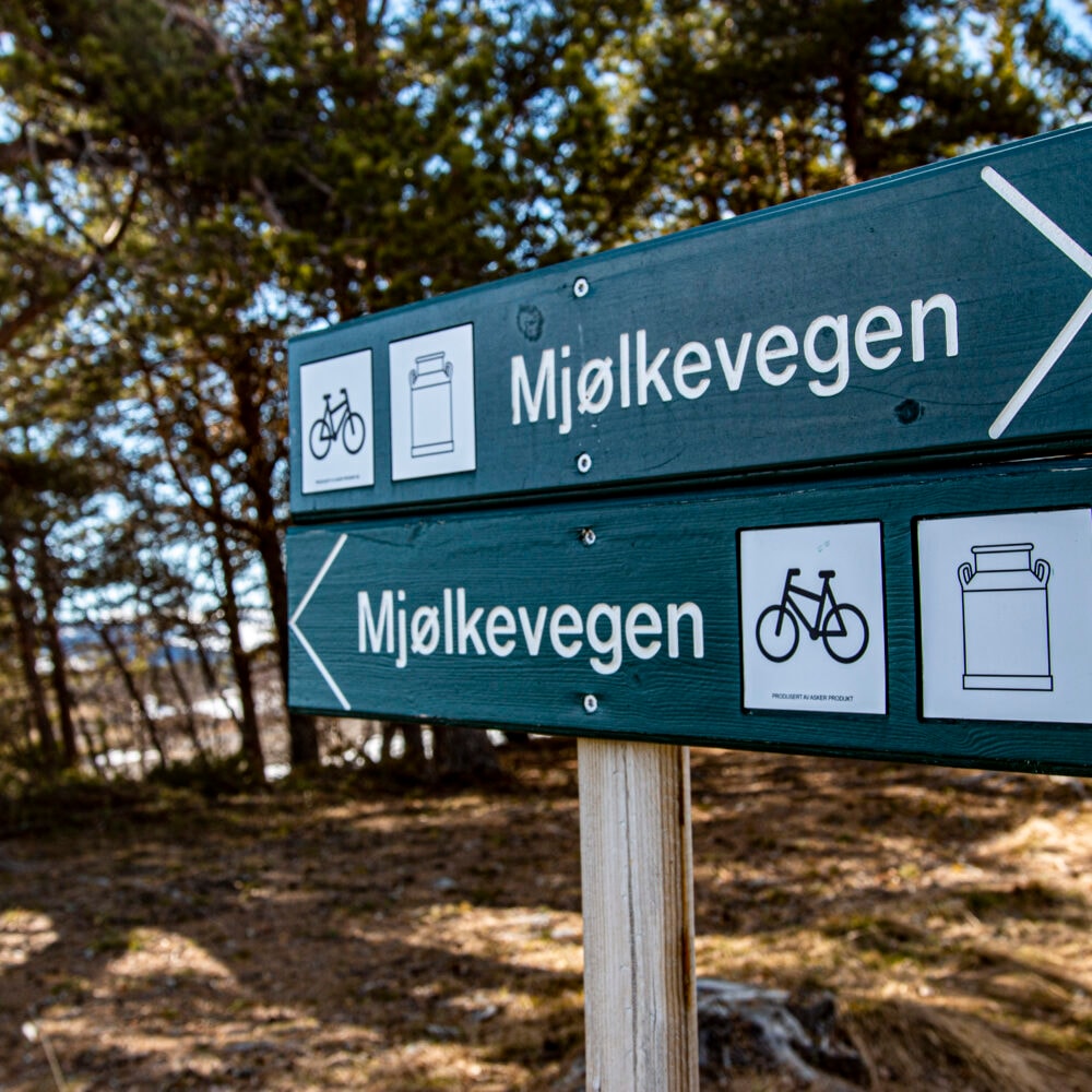 Jotunheim Travel Mjølkevegen Nord
