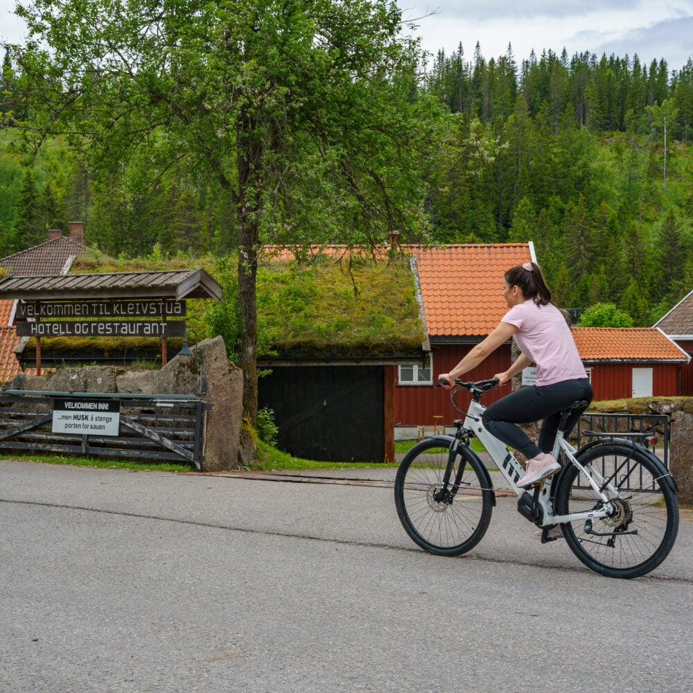 Kleivstua