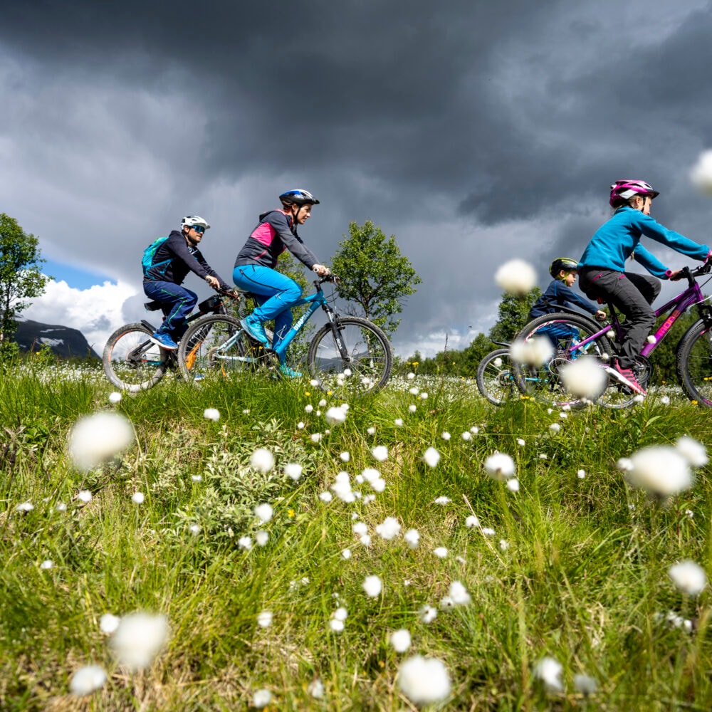 Jotunheim Travel Mjølkevegen Sør