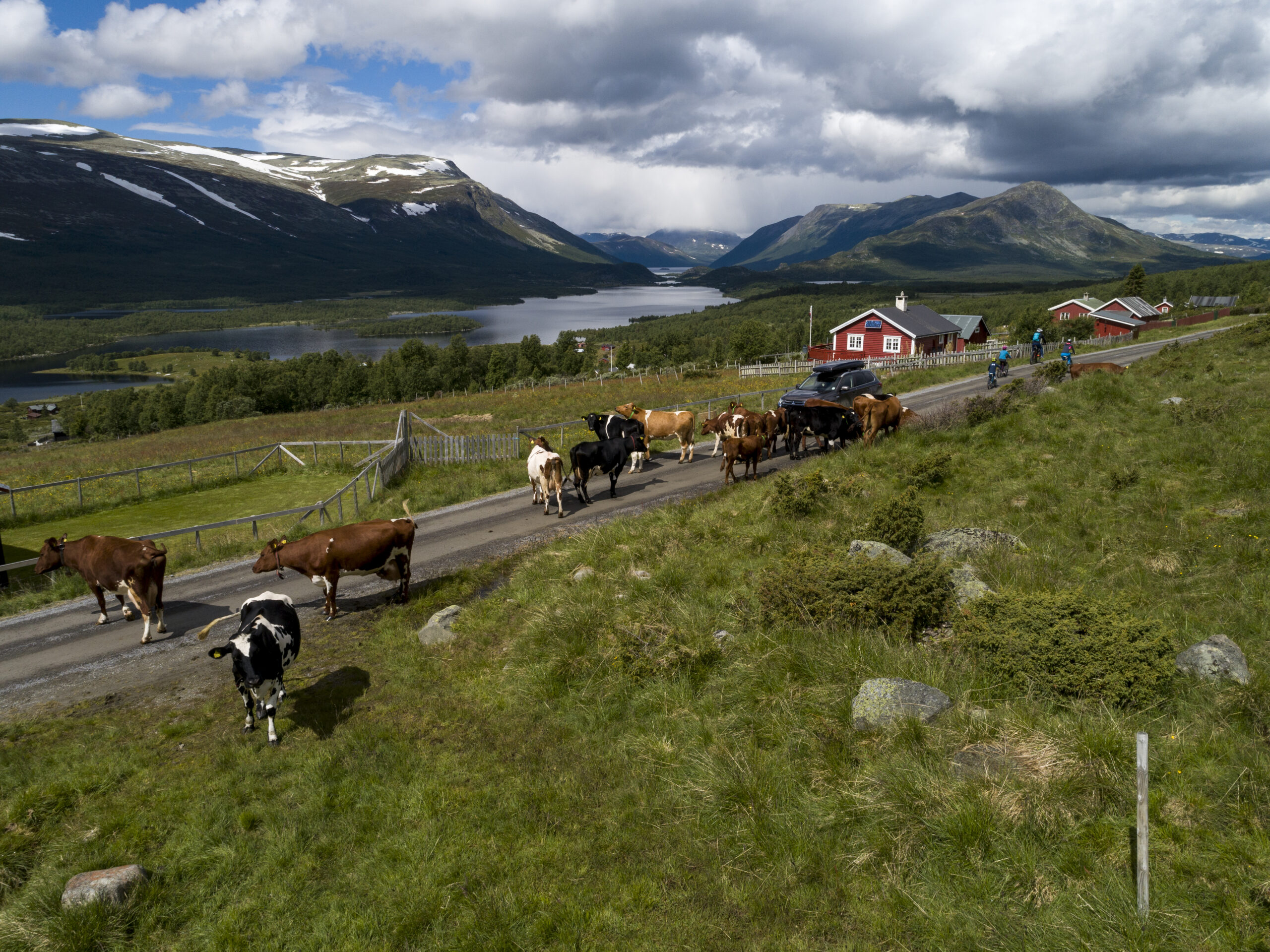 Jotunheim Travel Mjølkevegen Sør