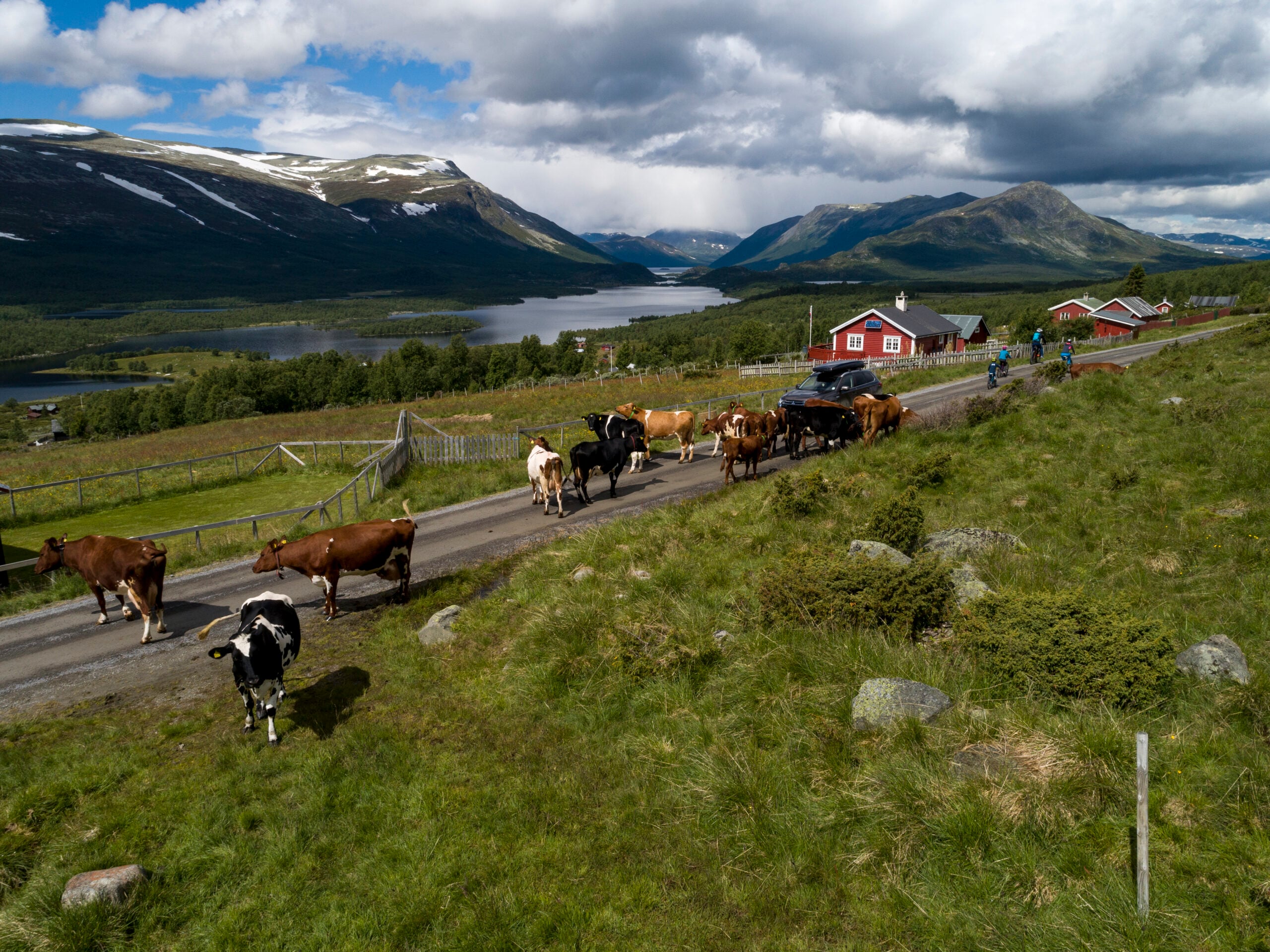 Jotunheim Travel Mjølkevegen Sør