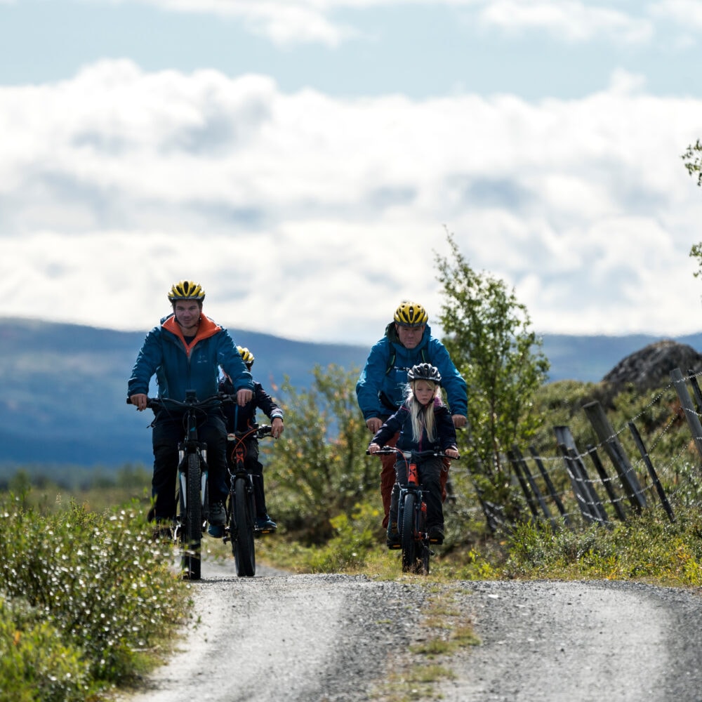Jotunheim Travel Tour de Dovre
