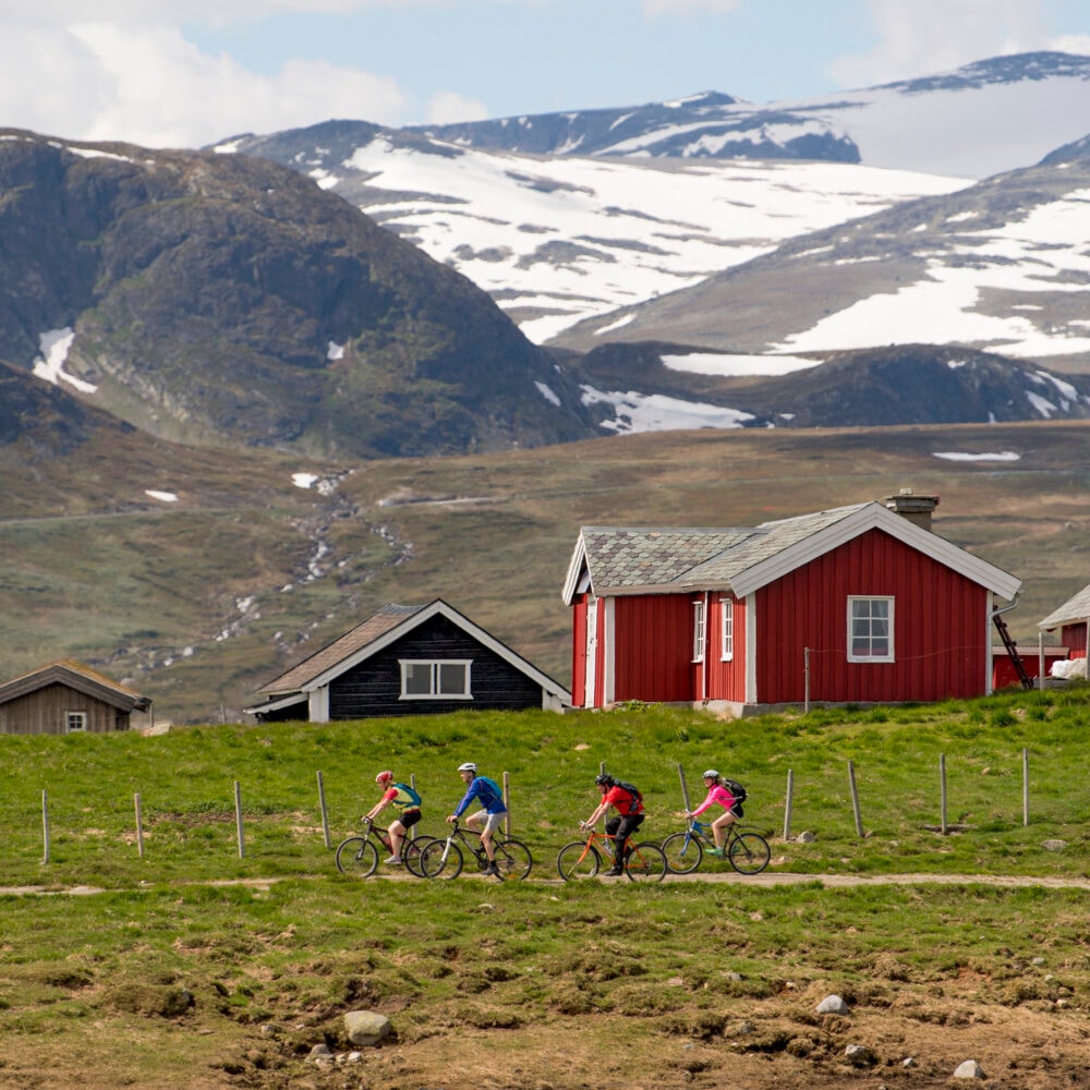 Jotunheim Travel Mjølkevegen Nord