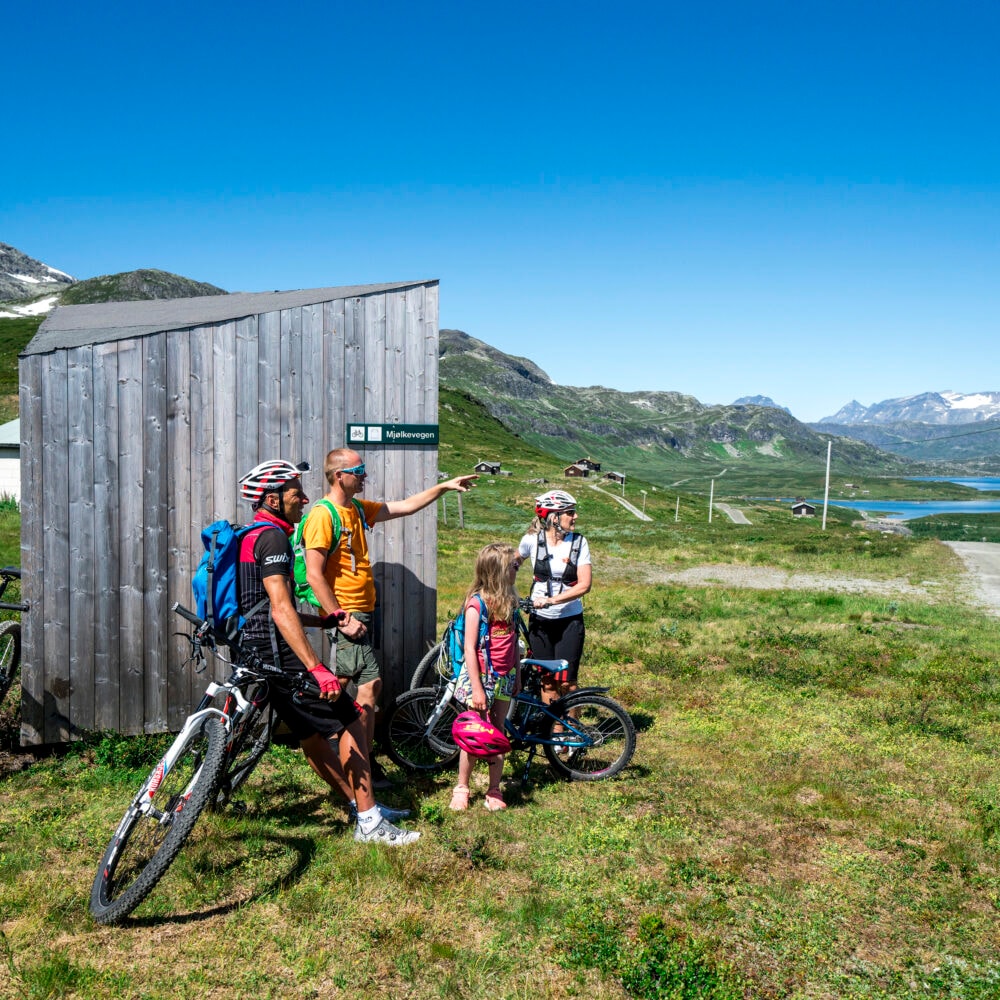 Jotunheim Travel Mjølkevegen Nord