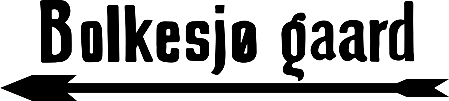 Bolkesjø Gaard logo