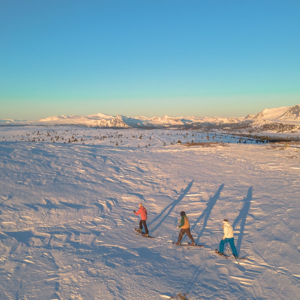 Oset fjellhotell i Gol